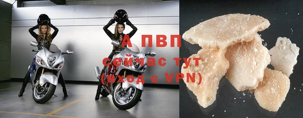 стаф Гусев