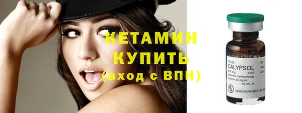 стаф Гусев