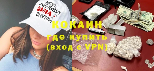 стаф Гусев