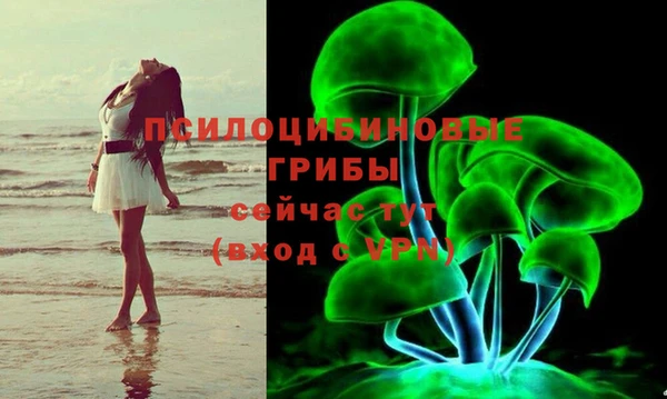 стаф Гусев