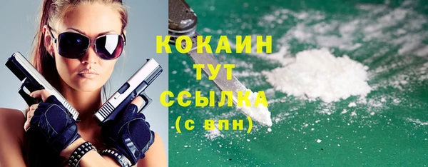 стаф Гусев