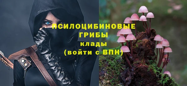прущая мука Гусь-Хрустальный