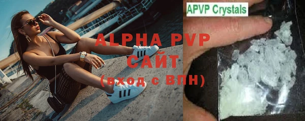 стаф Гусев